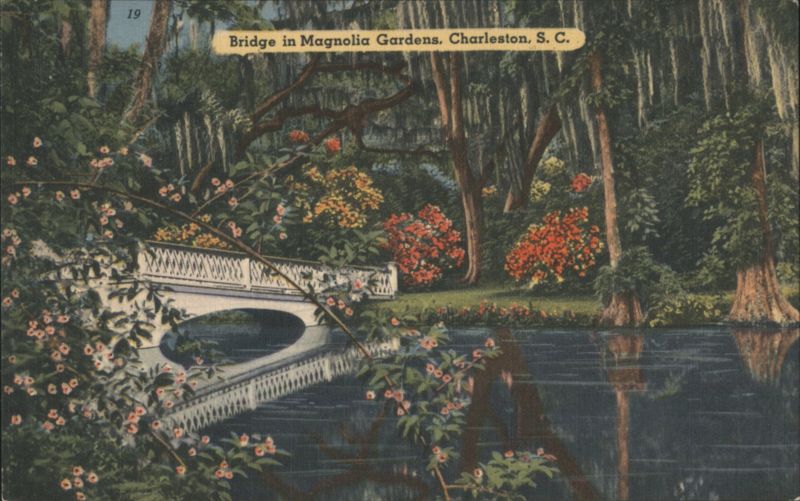 Bridge in Magnolia Gardens, Charleston, SC South Carolina