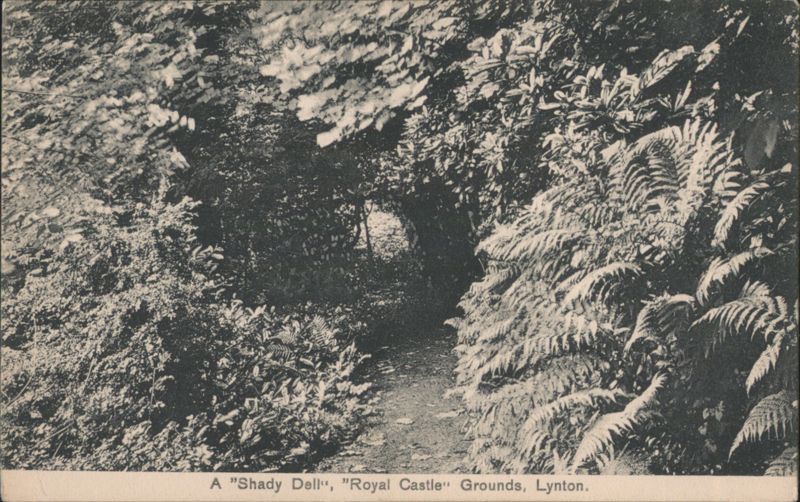 Shady Dell, Royal Castle Grounds, Lynton United Kingdom