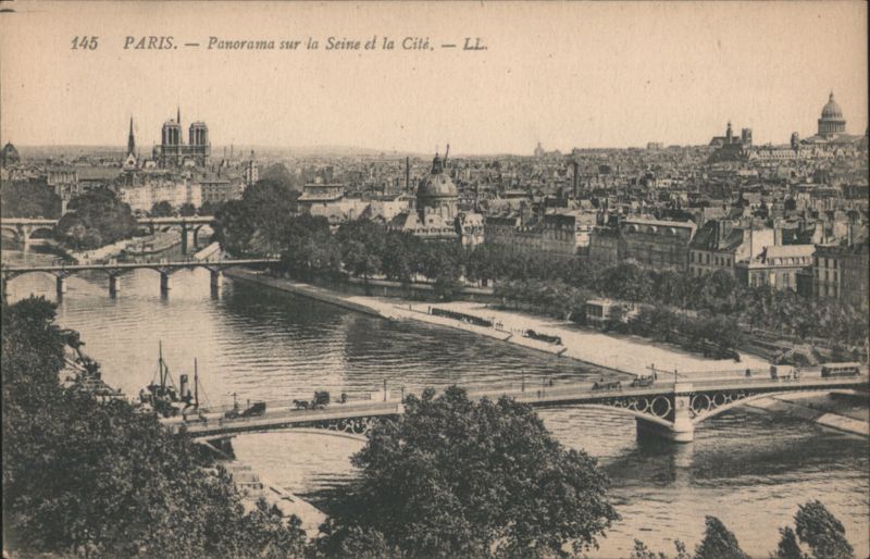 Panorama sur la Seine et la la Cité, Paris France