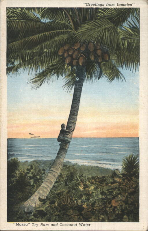 Greetings from Jamaica, Man Climbing Coconut Tree