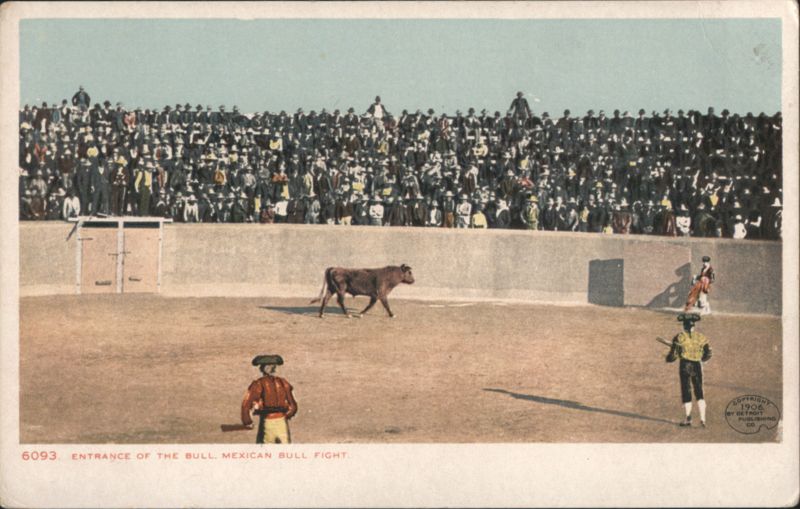 Entrance of the Bull, Mexican Bull Fight Mexico