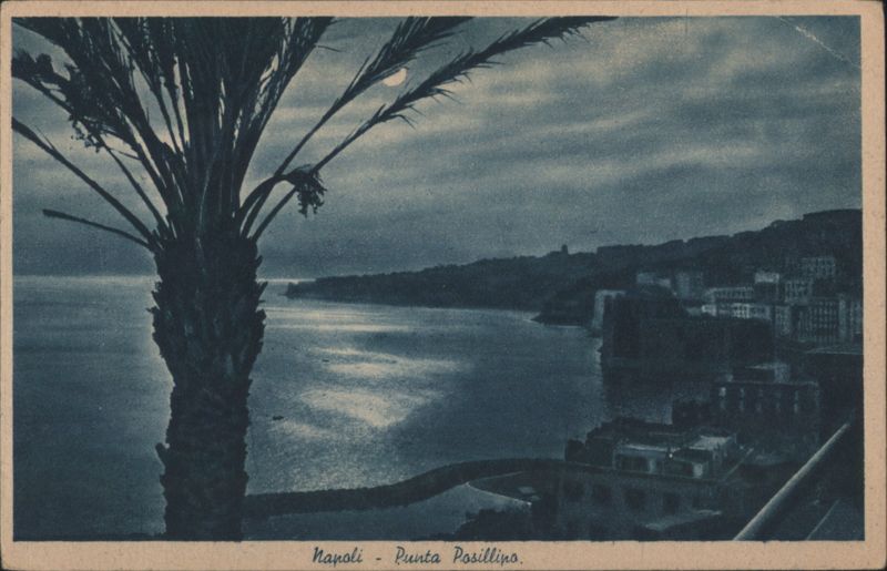 Punta Posillipo Bay with Palm Tree, Napoli Italy