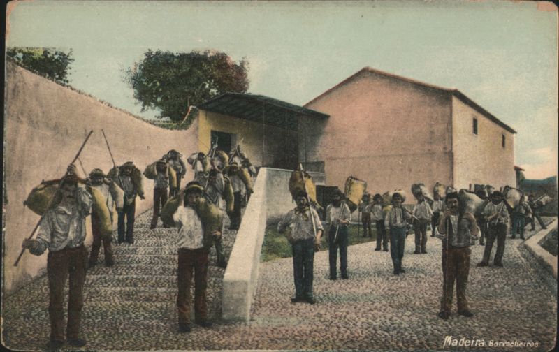 Madeira Borracheiros Portugal
