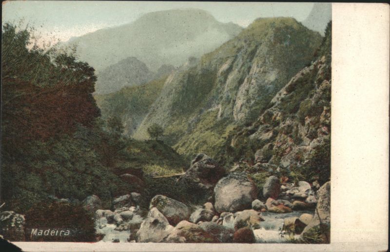 Madeira Mountainous River Valley Portugal