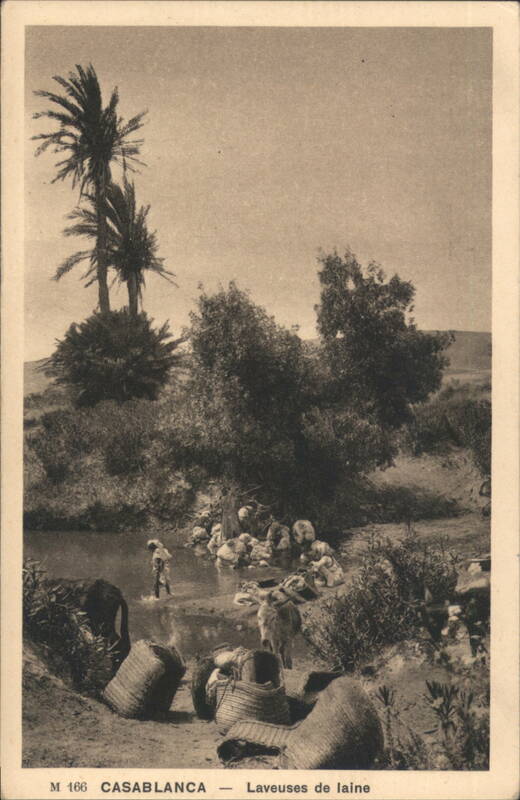 Casablanca Wool Washers by Stream, Palm Trees Morocco