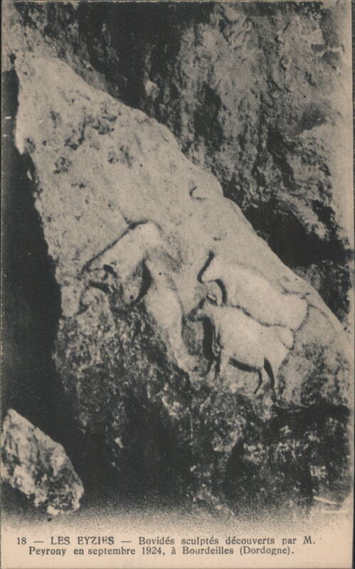Les Eyzies Sculpted Bovids, Dordogne France