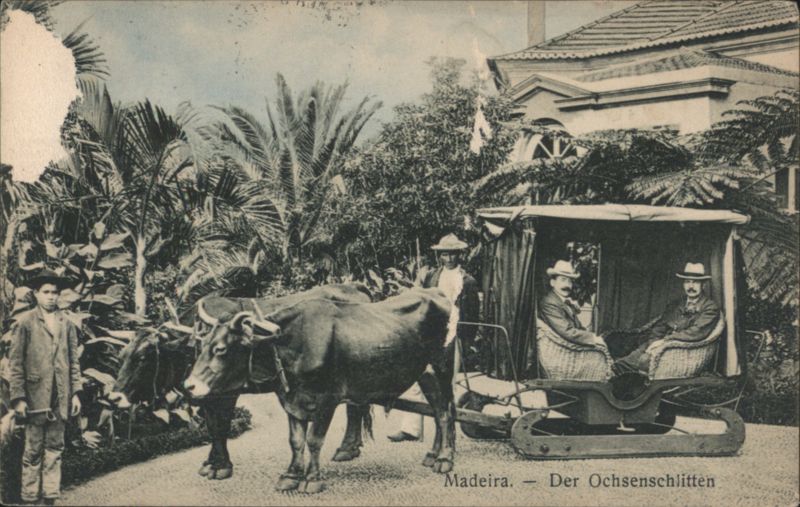Madeira Ox-Sled with Passengers and Driver Portugal