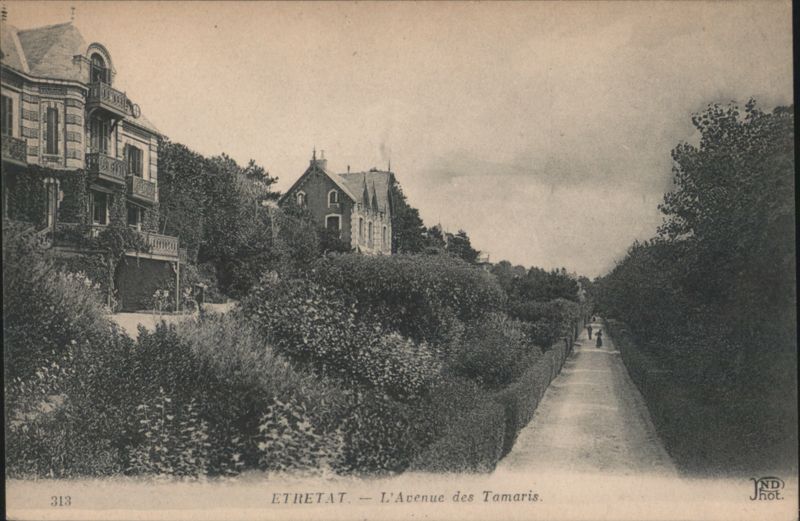 Etretat - L'Avenue des Tamaris France