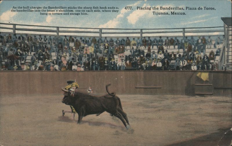 Placing Banderillas, Bullfight, Plaza de Toros Tijuana Mexico