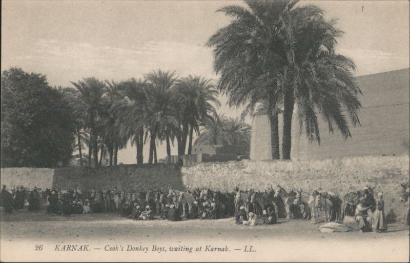 Cook's Donkey Boys Waiting at Karnak Egypt Africa
