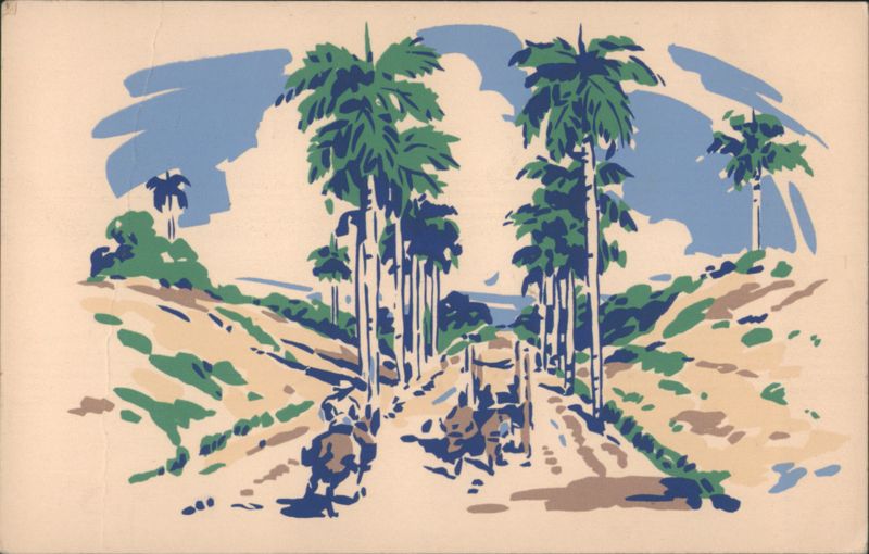 Palm Lined Road Cuba
