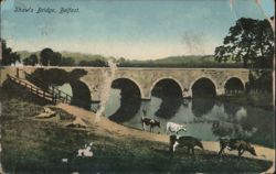 Shaw's Bridge, Belfast Postcard