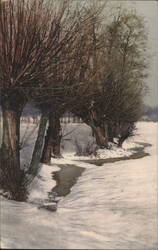 Winter Landscape with Pollarded Willows and Stream Postcard
