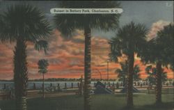 Sunset in Battery Park with Palms, Charleston, SC Postcard