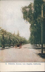 Palmetto Avenue, Los Angeles, California Postcard