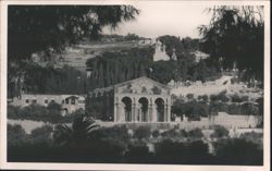 Church of The Agony Gethsemane Postcard