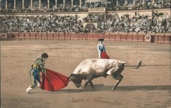 Bullfighting Suerte de Capa Postcard