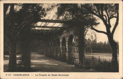 La Pergola du Stade Municipal, Casablanca Postcard