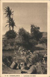 Casablanca Wool Washers by Stream, Palm Trees Postcard