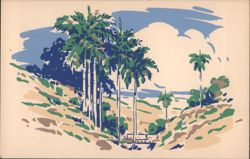 Cuban Royal Palm Trees, Hills, and Water Postcard