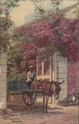 Two Natives with Donkey Cart, Nassau Postcard