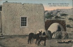Mexican Adobe Home with Bake Ovens & Donkeys Postcard