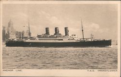 Anchor Line T.S.S. Transylvania Ocean Liner Postcard