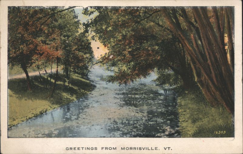River with Trees, Morrisville Vermont