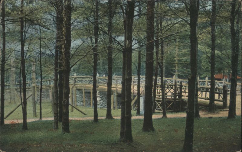 Wooded Scene with Rustic Wooden Bridge Trees
