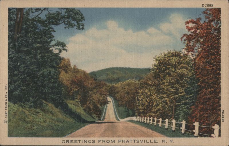 Winding Road through Autumn Hills Prattsville New York