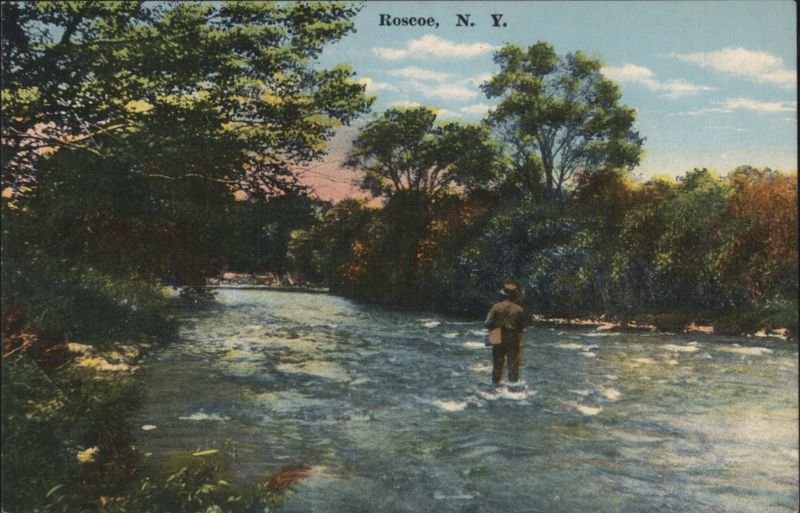 Roscoe, NY - Man Fishing in River New York