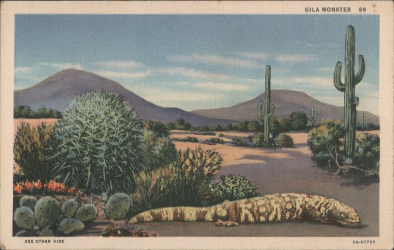 Gila Monster in Desert Landscape Snakes & Reptiles