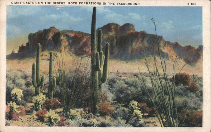 Giant Cactus on the Desert, Rock Formations in Background