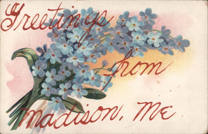 Greetings from Madison, ME with Blue Forget-Me-Nots Maine