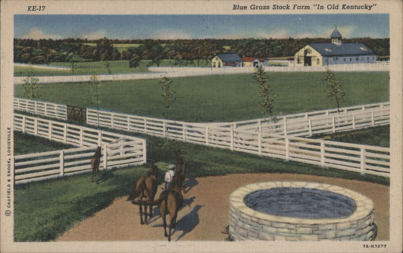 Blue Grass Stock Farm in Old Kentucky