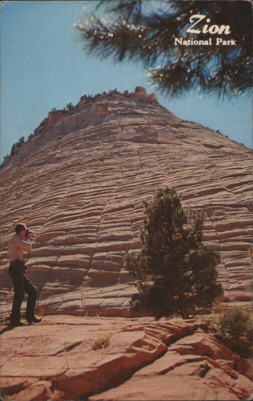 Zion National Park, Checkerboard Mesa, Photographer Utah
