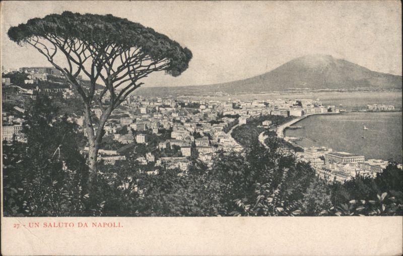 Naples City View with Mount Vesuvius and Tree Italy