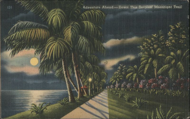 Adventure Ahead - Tropical Moonlight Trail, Florida Curtis