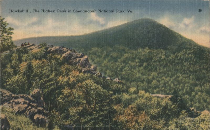 Hawksbill Peak, Highest Peak in Shenandoah National Park Virginia