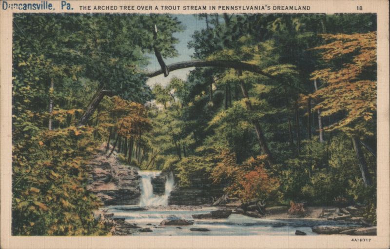 The Arched Tree Over a Trout Stream, Pennsylvania's Dreamland Duncansville