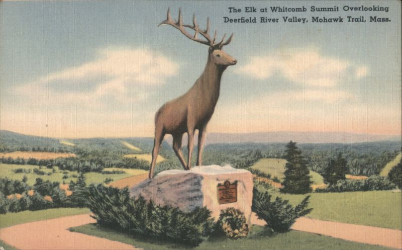 The Elk at Whitcomb Summit Overlooking Deerfield River Valley Massachusetts