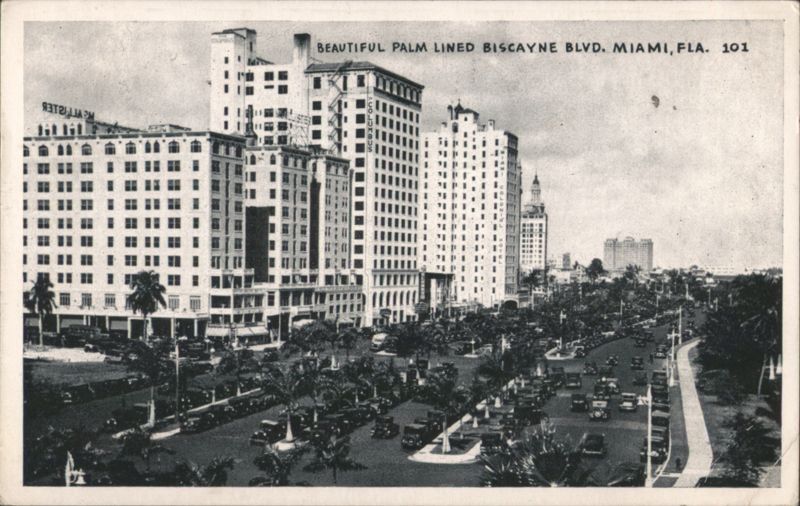 Beautiful Palm Lined Biscayne Blvd., Miami, FL Florida