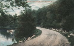 Drive in the Dingle, near Halifax, N.S. Postcard