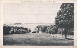 View of Wolfboro Road and Lake, Alton Bay, NH Postcard