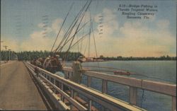 Bridge-Fishing, Ringling Causeway, Sarasota, FL Postcard