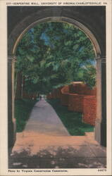 Serpentine Wall, University of Virginia Postcard