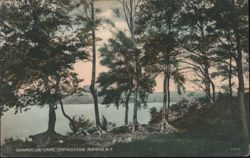 Shandelee Lake, Livingston Manor, NY Postcard