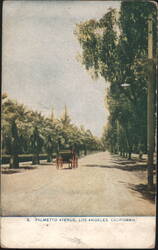 Palmetto Avenue with Horse-Drawn Carriage Postcard