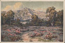 California Flowers Everlasting Landscape, Mountains Postcard