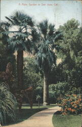 Palm Garden, San Jose, CA Postcard